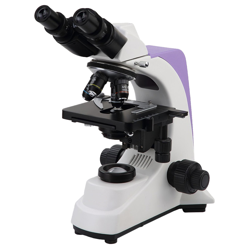 Wide Field Wf10X Eyepiece Binocular Microscope for Professionals